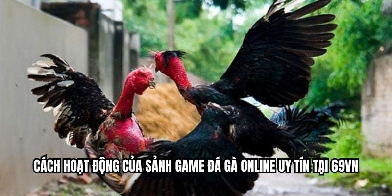 Cách hoạt động của sảnh game đá gà online uy tín tại MIBET
