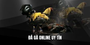 Đá Gà Online Uy Tín