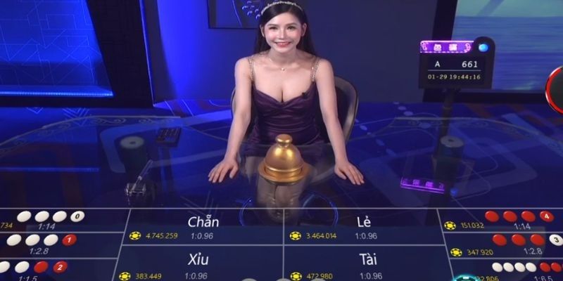 Hệ thống bàn cược hiện đại, vận hành mượt mà