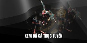 Xem Đá Gà Trực Tuyến
